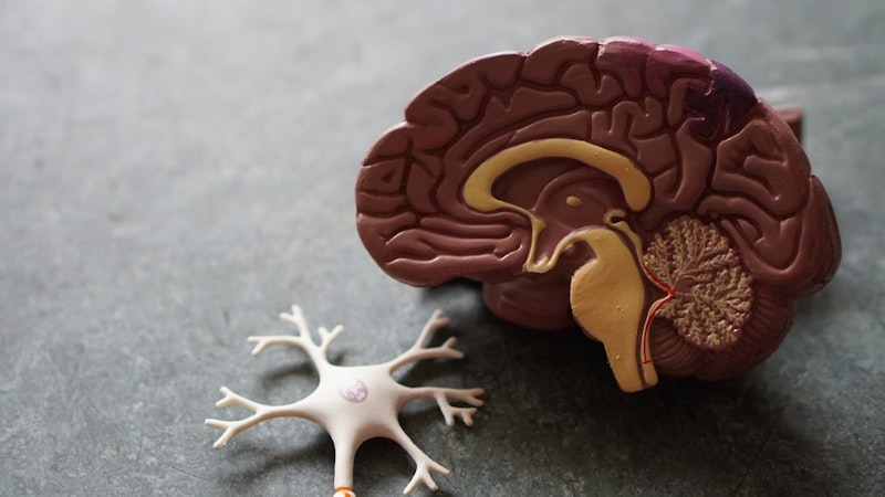 Neurological pain research receptor molecular illustration