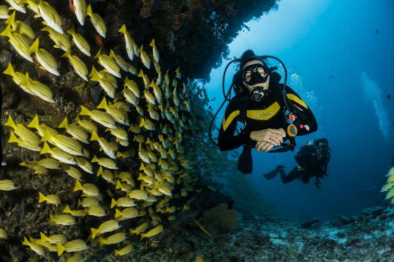 Marine Toxins