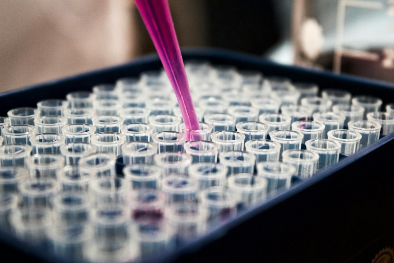 Purified peptide toxins and conotoxins for ion channel electrophysiology